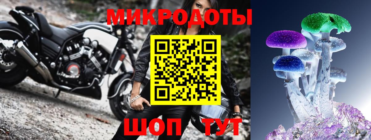 Галлюциногенные грибы Psilocybe Анапа