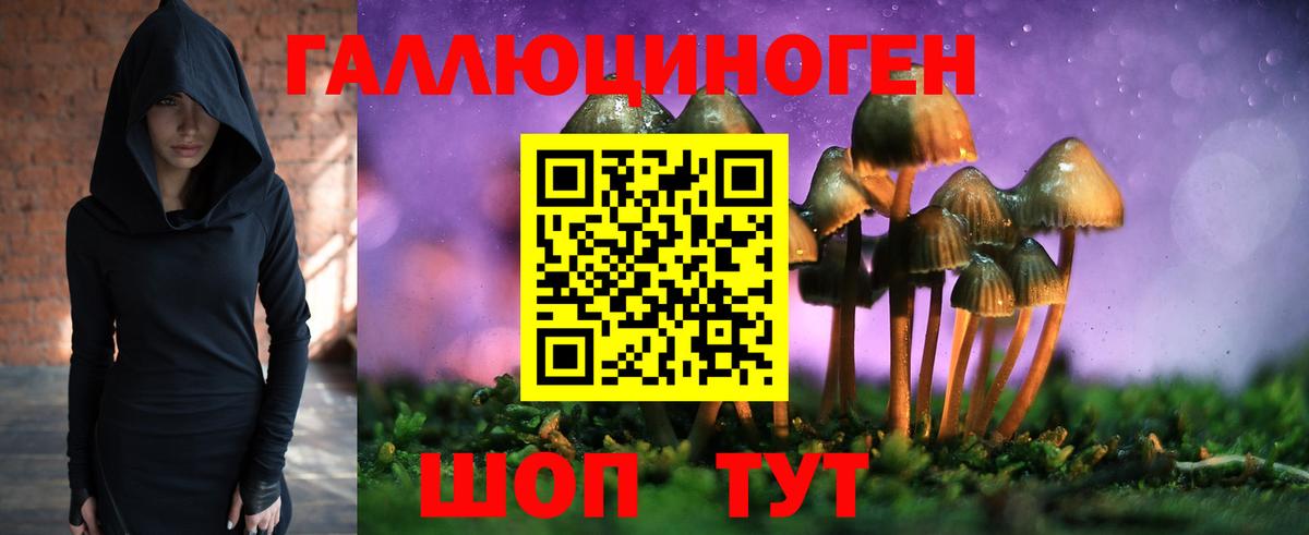 Галлюциногенные грибы Psilocybe  Вход с VPN  Анапа 